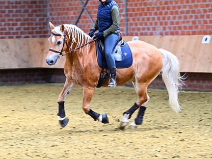 Seminar in Kevelaer