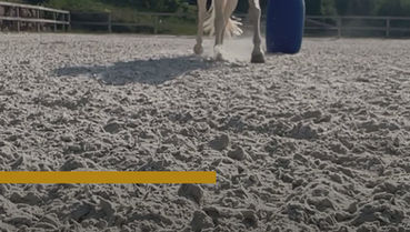 Rassetypisch? Oder einfach anders als erwartet?