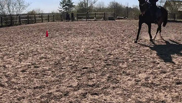 Western & Dressage: Kreinbergs Übungen im Online-Kurs. Hier Lilly und Käte im Kleeblatt.