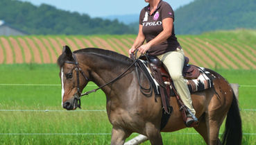 TGT® REITEN BASIS – positive Nebenwirkung: zufriedene und lockere Pferde