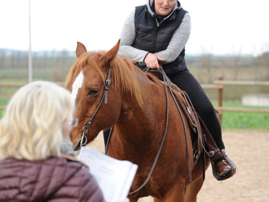 Grundsätze guten Reitens – klar erklärt und mit vielen Rassen und Reitweisen bebildert!