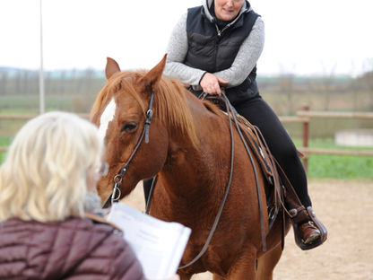 Grundsätze guten Reitens – klar erklärt und mit vielen Rassen und Reitweisen bebildert!