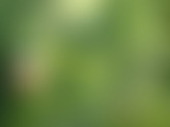 Rika Kreinberg auf dem Nobbenhof