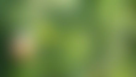 Rika Kreinberg auf dem Nobbenhof