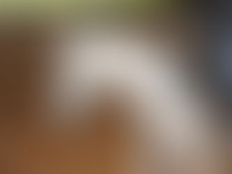 Individuelle Unterrichtstage mit Rika Kreinberg