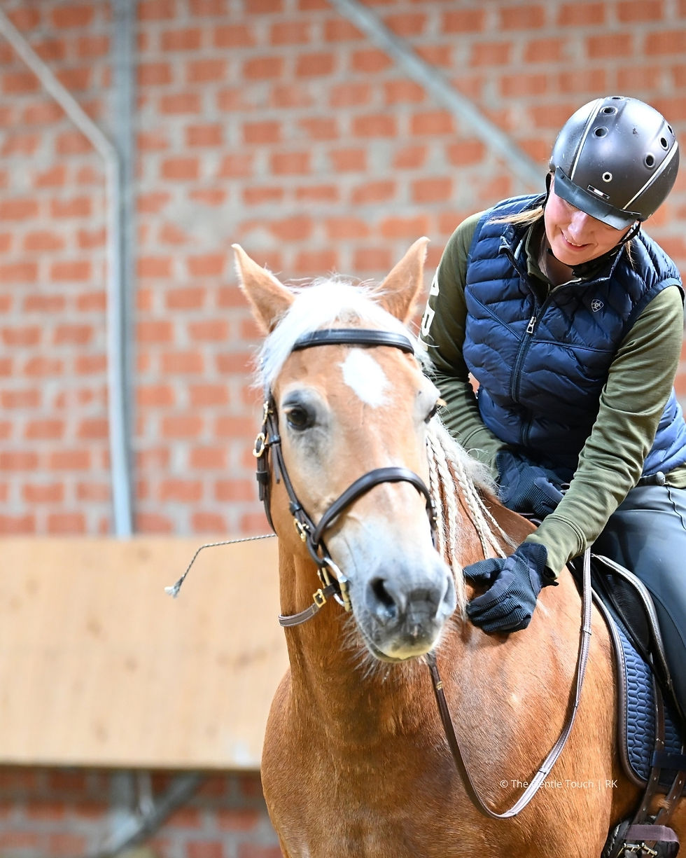 TGT® Trainerin am Reitseminar mit Rika Kreinberg
