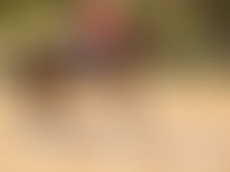 Springstute „Polly“ am Filmset: nicht springen!