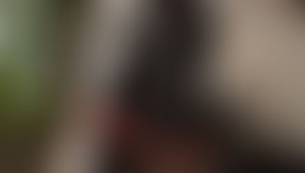 Lewitzerstute auf Rika Kreinbergs Reitseminar.