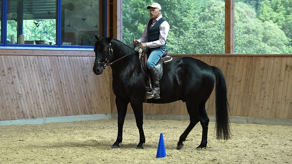 Peter Kreinberg: Wendung um die Vorhand