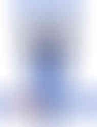  (PRP) 5 Point 3" Harness (5.3)