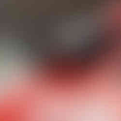 Infinite Offroad Whip Mount: 360° Adjustable Bracket