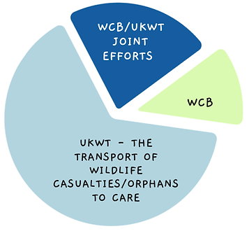 WCB___UKWT_UNITED_FOR_WILDLIFE_ORGANISATIONAL_LAUNCH____-_Presentation.png