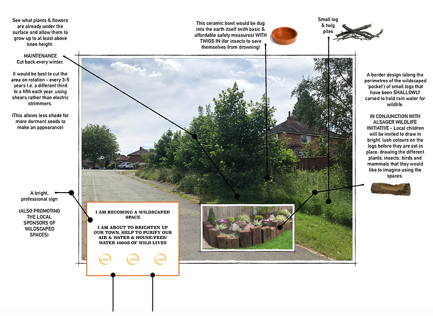 _Wildscaping_Alsager__Proposal__page_7_of_11_.png