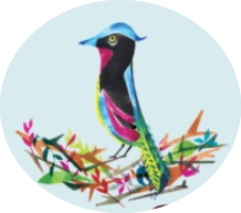 Bird & Wild