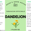 Thumbnail: Dandelion Tincture
