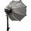Thumbnail: Nanlite Octagonal Softbox for FM Mount (23.6")