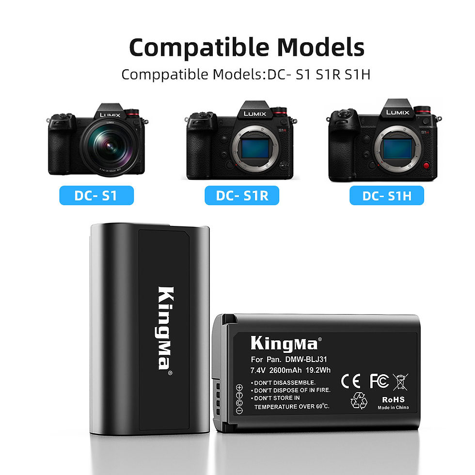 Thumbnail: KingMa DMW-BLJ31 2600mAh Battery For Panasonic Lumix Camera High Capacity