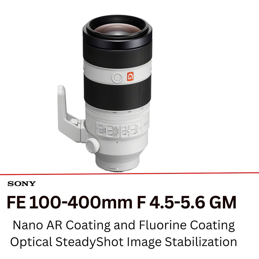 Thumbnail: Sony FE 100-400mm f/4.5-5.6 GM OSS