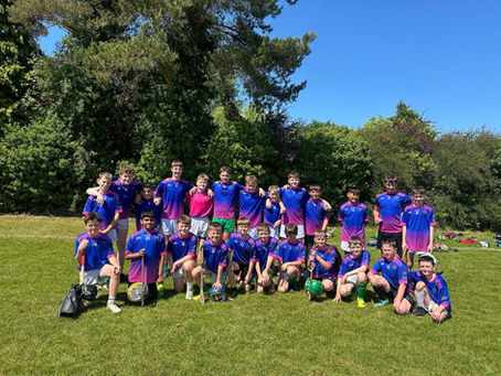 Camogie and Hurling u13 Finals!