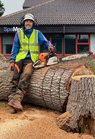 Person sitting on cut tree trunk with a chainsaw