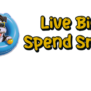 Master Your Money: Uncover Hidden Spending Leaks