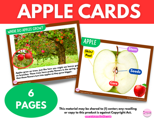 Apple Learning Cards Princess Educator