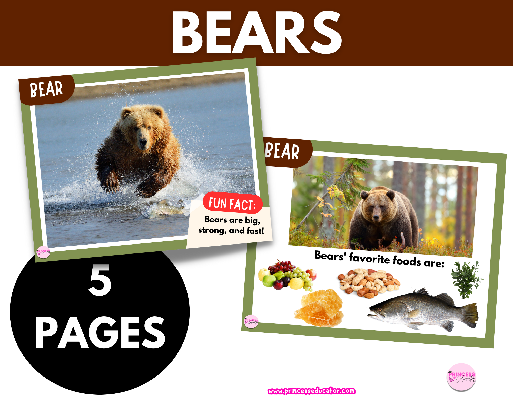 Bear Learning Cards