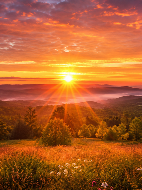 Golden sunrise over misty mountain ridges and a wildflower meadow, with orange clouds and radiant sunbeams.