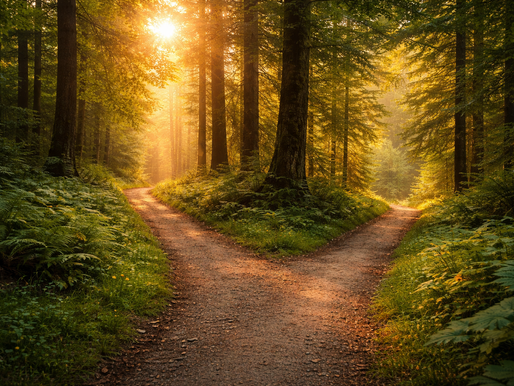 Sunlit forest with a dirt path splitting into two. Tall trees and lush greenery surround, creating a serene, golden atmosphere.