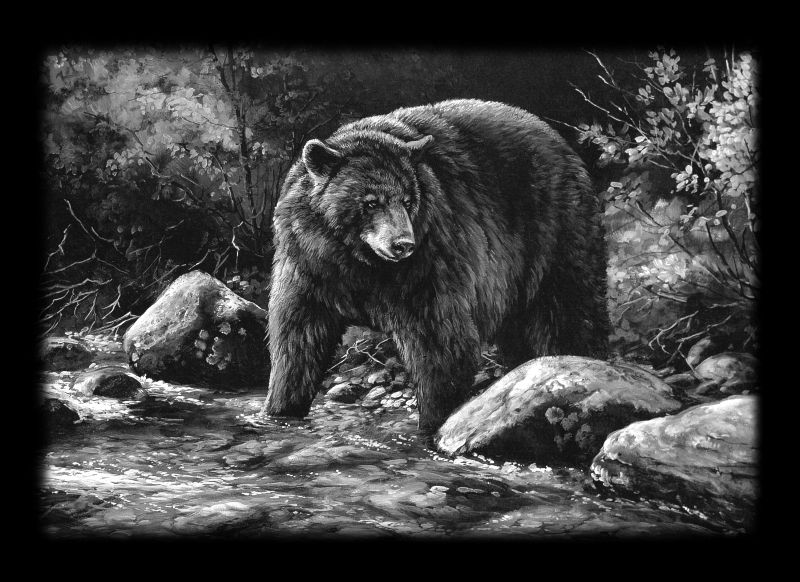 BEAR01.jpg