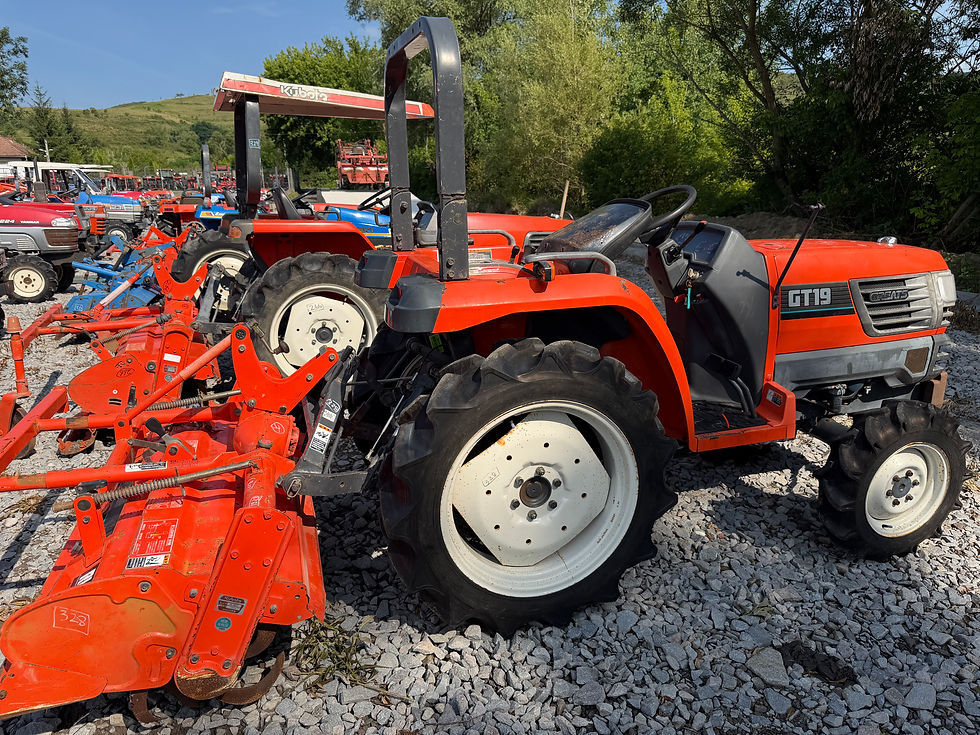 Miniatură: KUBOTA GT19