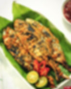 Ikan Kembung