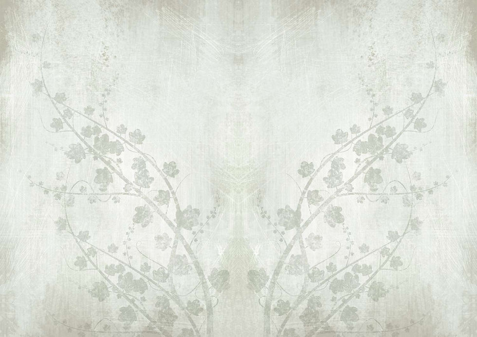 background5.jpg