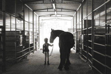family session, horse photos, family session, family photos, horse and child