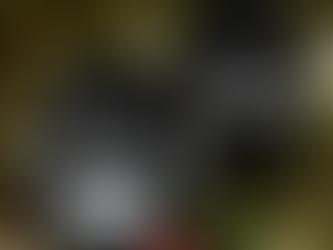 Greenville Swamp Rabbits x LA Kings x Ontario Reign Limited Hoodie