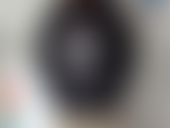 New York Yankees Nike 2024 American League Champions T Shirt