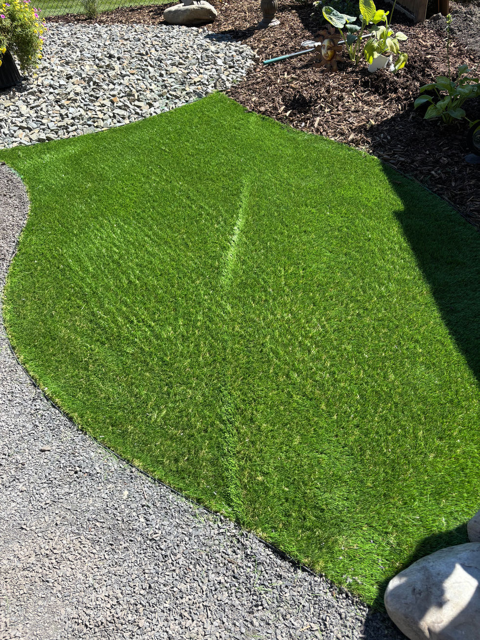 Artificial turf installation in residential landscaping project Cochrane Alberta