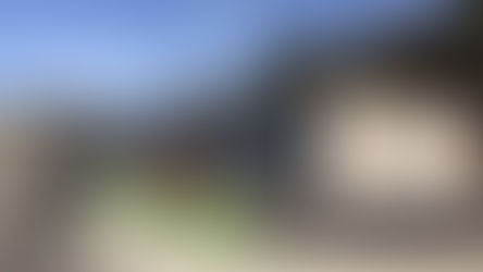 Spørsmålet ingen stiller