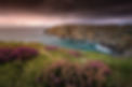 AdobeStock_372286719.jpeg