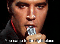 giphy - 2022-12-14T092340.898.gif