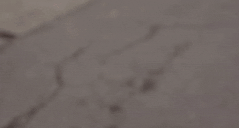 giphy - 2023-01-03T154636.548.gif