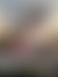 CityWorld News: Street Noise (Volume 23)