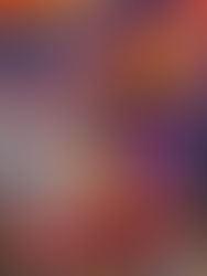 CityWorld News: Street Noise (Volume 17)