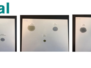 The Paper Test