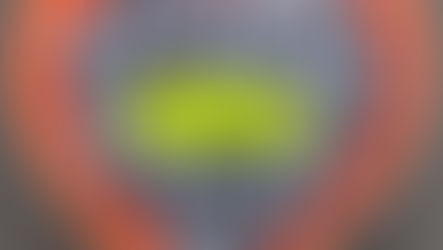 Ma recette de salade de myrtilles...