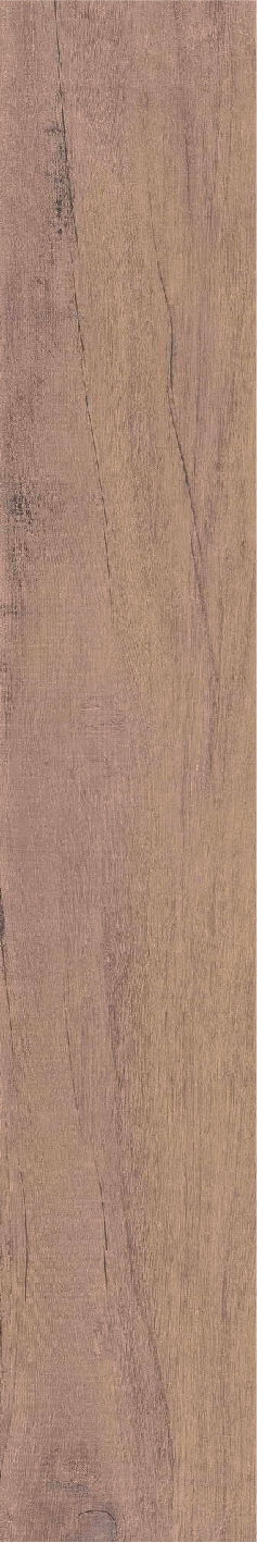 縮圖：BODE BWHT20222KCA9