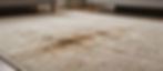 Dirty carpet with a large stain requires Cleaning Services