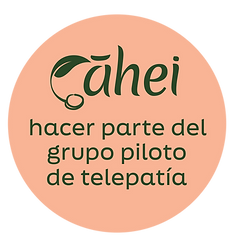 ruta al 2025ahei-24.png
