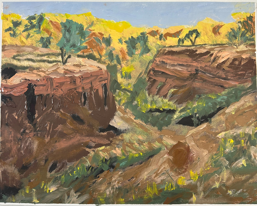 Thumbnail: "Sunlit Canyon"