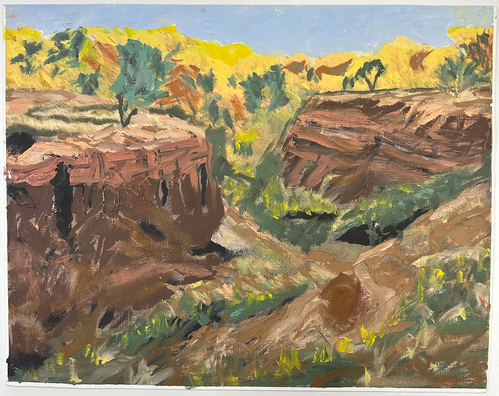 Thumbnail: "Sunlit Canyon"